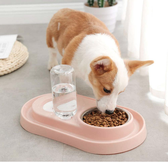 Stainless Steel Pet Bowls with Automatic Water Bottle